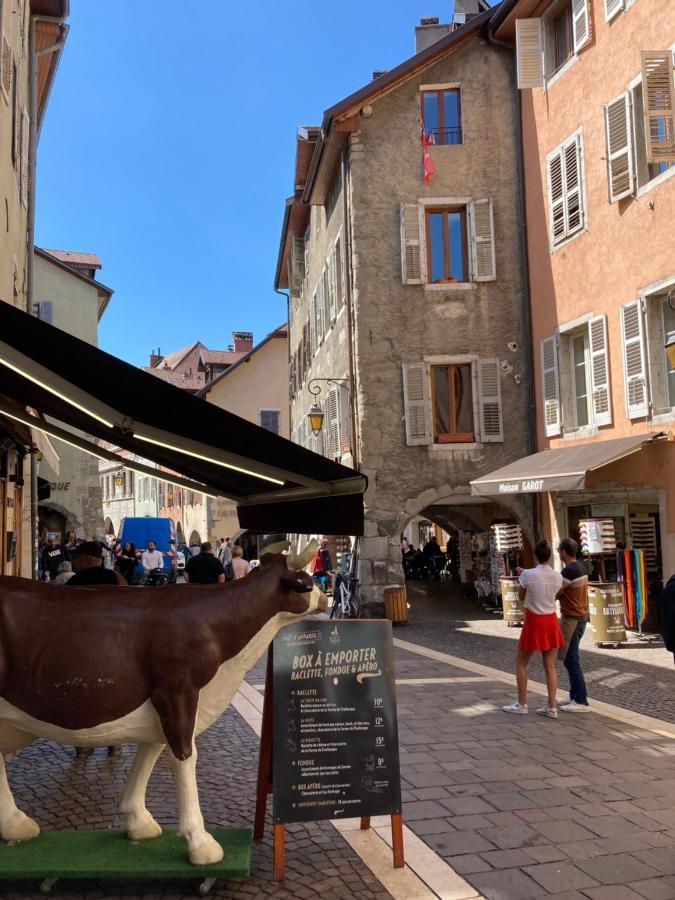 Ferienwohnung 2 Pieces Cosy Annecy Exterior foto